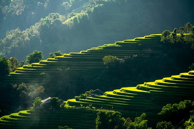 Step-by-step guide to calculating net worth with calculator and documents